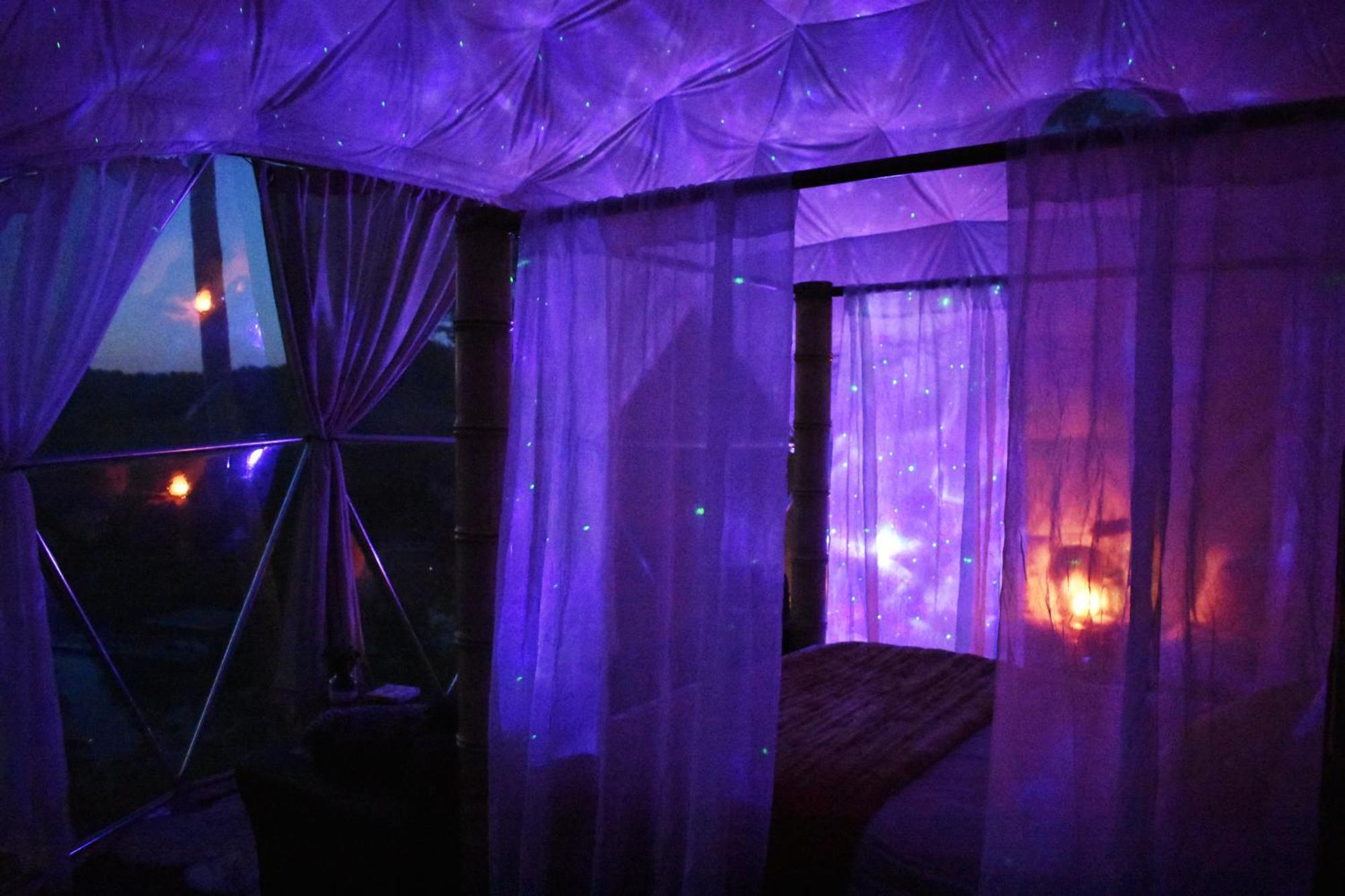 Waterfront Luxury Glamping Dome Hotel Rogersville Bagian luar foto